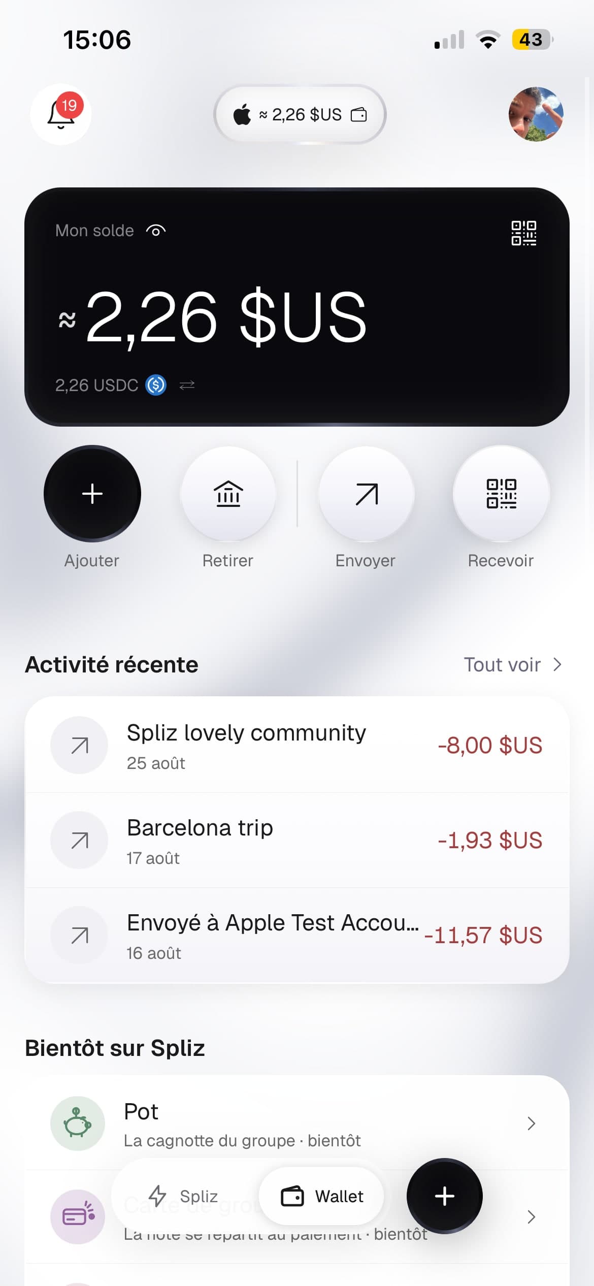 Soldes du groupe en multi-devise, montant approché en euros et montant USDC exact